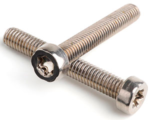 M2 X 10 TX6 LOW HEAD CAP SCREW ISO 14580 A2 ST/ST