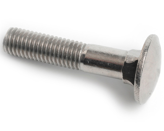 5/16-18 X 10 CARRIAGE BOLT ANSI B18.5 A2 ST/ST