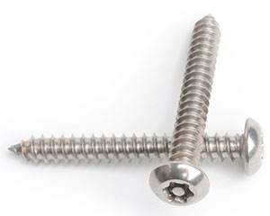 6.3 X 25 PIN TX30 BUTTON TAPPING SCREW A2 ST/ST